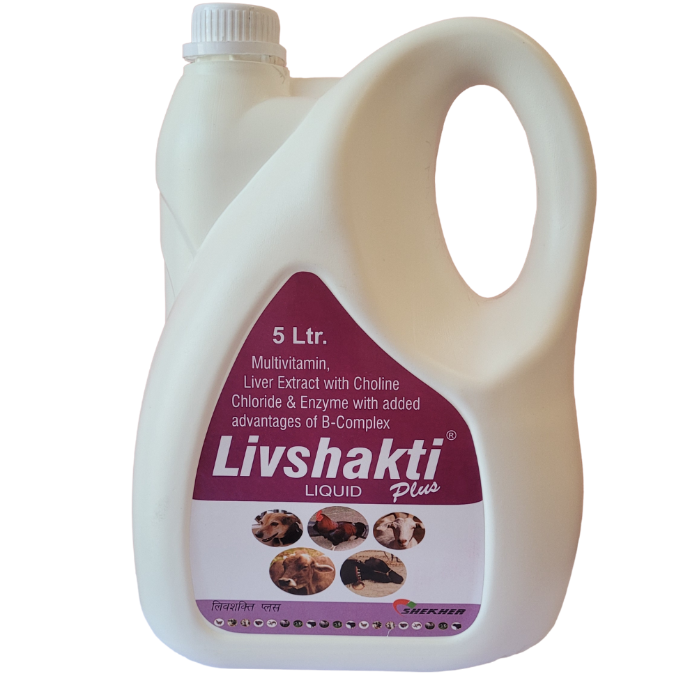 LIVSHAKTI PLUS